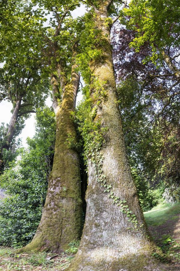 Le Domaine De Langlardie Soudat Esterno foto